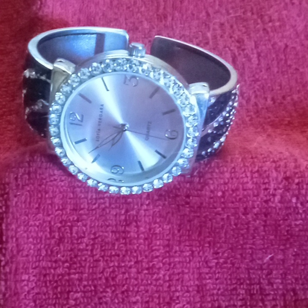 Sofia Vergara Watch - Picture 3 of 6